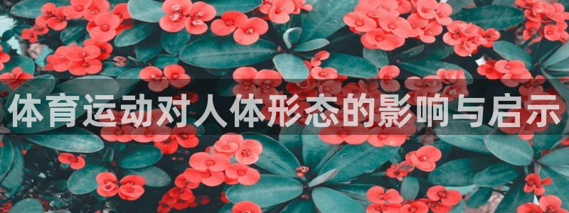 关键词