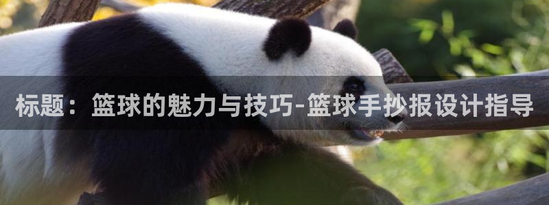 关键词：标题：篮球的魅力与技巧-篮球手抄报设计指导