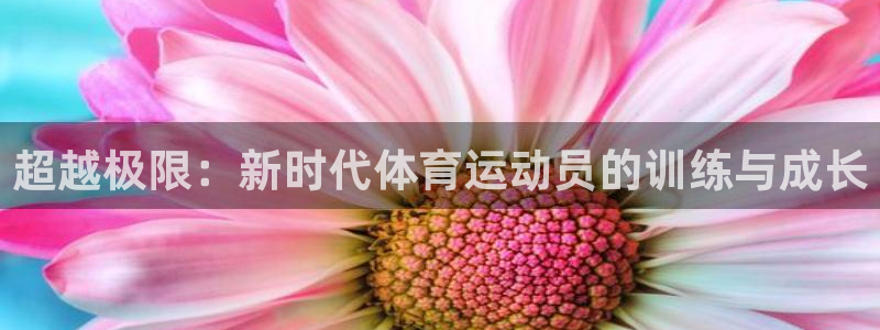 速8体育网