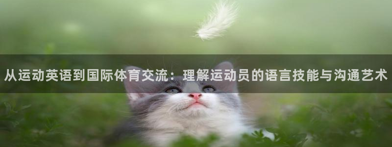 速8体育网：从运动英语到国际体育交流：理解运动员的语言技能与沟通艺术