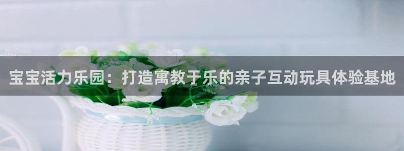 速8体育网：宝宝活力乐园：打造寓教于乐的亲子互动玩具体验基地