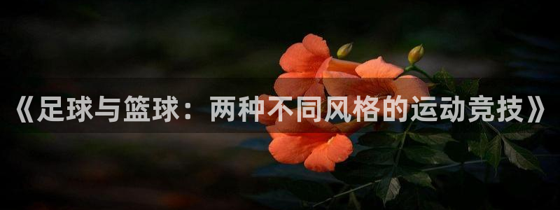 关键词：《足球与篮球：两种不同风格的运动竞技》