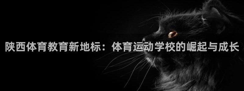 速8体育网