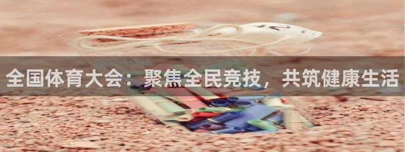 速8体育网
