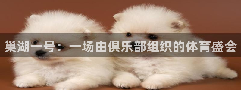 速8体育网