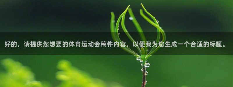 速8体育网
