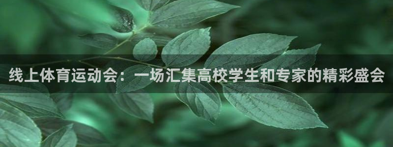 速8体育网
