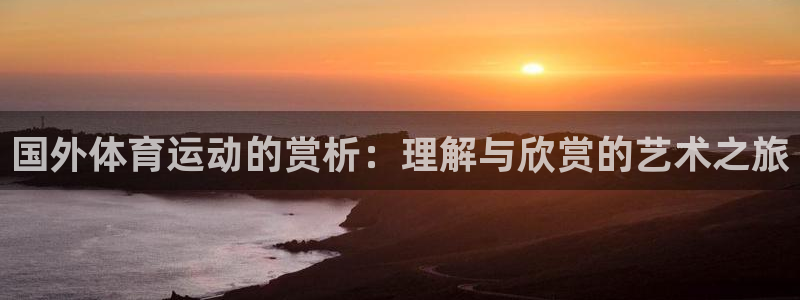 关键词：国外体育运动的赏析：理解与欣赏的艺术之旅
